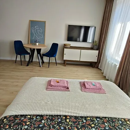 Wiśnia Starówka Apartamento
